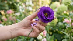 Diese Farbe gibt es eigentlich gar nicht – dein Gehirn hat sie sich ausgedacht