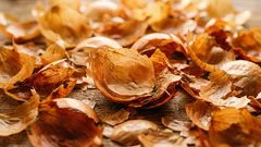 Zwiebelschalen statt gekaufter Produkte: So setzt man sie im Garten ein