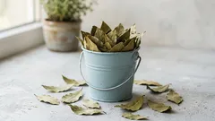 Schon ein paar Blätter dieses Gewürzes – und die Luft in Ihrem Zuhause fühlt sich frischer und sauberer an