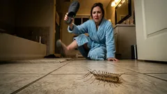 Hast du das in deinem Badezimmer gesehen? 30 Beine und ein überraschender Vorteil, über den niemand spricht