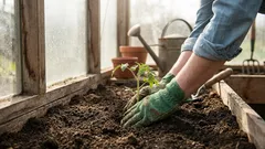 Was man im April ins Freiland, ins Gewächshaus und für Setzlinge vorzieht: eine Liste, die man speichern sollte